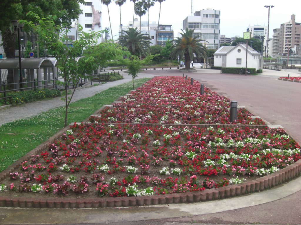 徳島市　花壇植栽