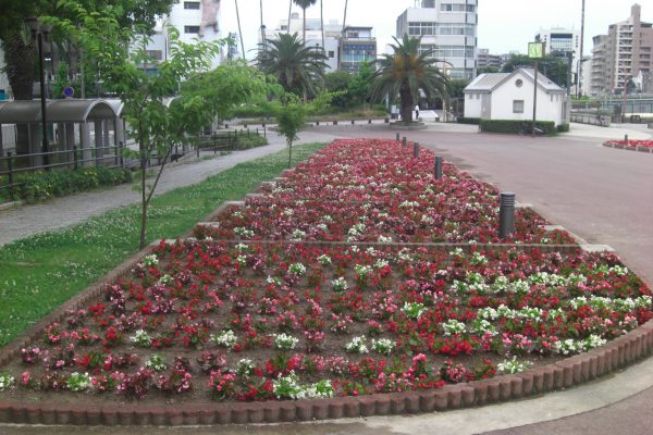 徳島市　花壇植栽